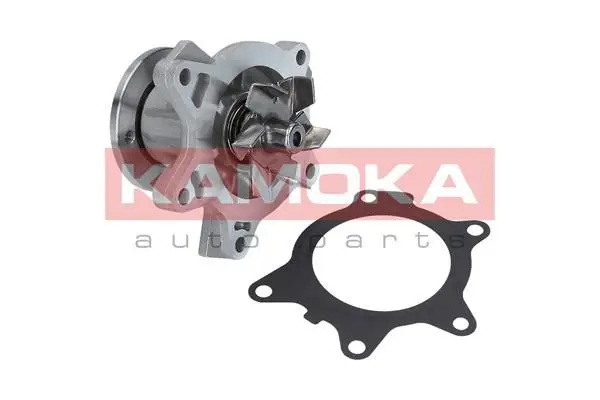 Pompe à eau KAMOKA T0204