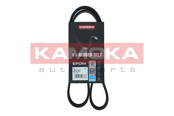 Courroie KAMOKA 7017001