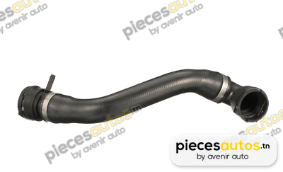 Durite de radiateur Bapmic BF0426661876