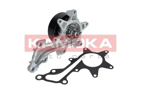 Pompe à eau KAMOKA T0109