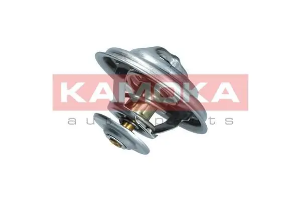 Thermostat d'eau KAMOKA 7710085