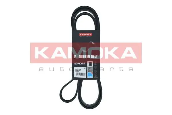 Courroie KAMOKA 7016179