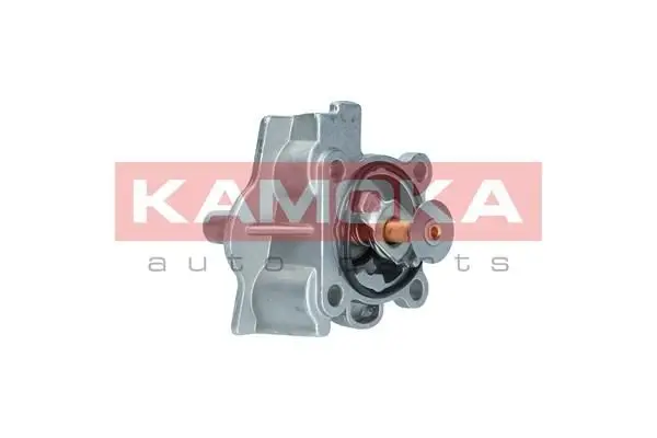 Thermostat d'eau KAMOKA 7710244
