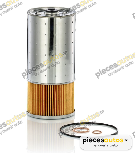 Filtre à huile Bapmic BF0423450051