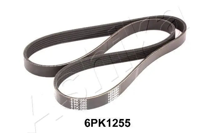 Courroie ASHIKA 112-6PK1255