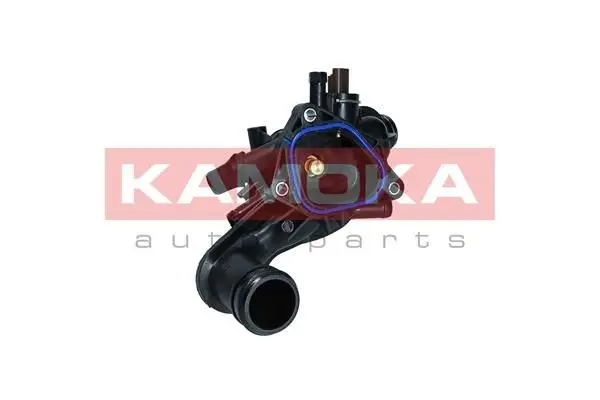 Thermostat d'eau KAMOKA 7710020