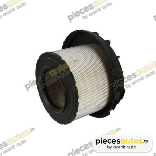 Filtre à air Bapmic BF0427400661