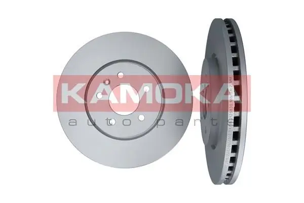 Jeu de 2 Disques de frein KAMOKA 103311
