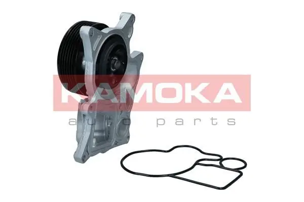Pompe à eau KAMOKA T0300