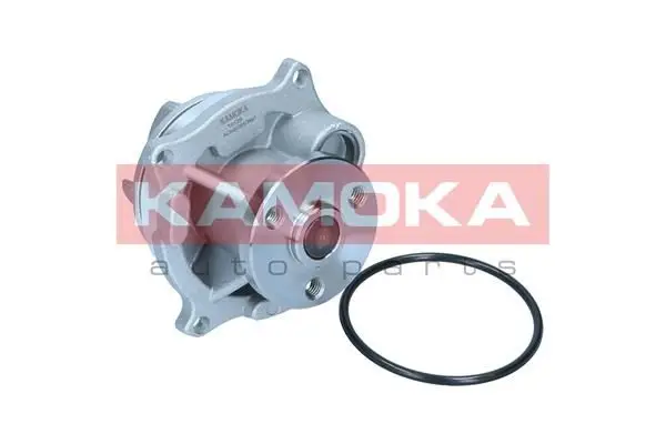 Pompe à eau KAMOKA T0129