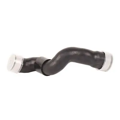 Durite turbo Bapmic BF0422700253
