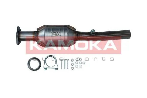 Catalyseur KAMOKA 8015038