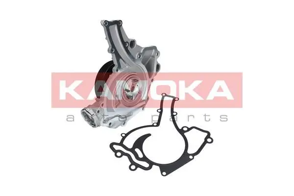 Pompe à eau KAMOKA T0195