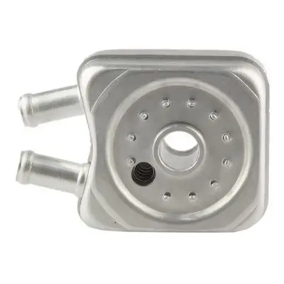 Radiateur d'huile Bapmic TOPT1308010