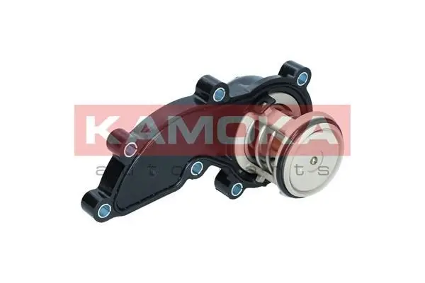 Thermostat d'eau KAMOKA 7710186