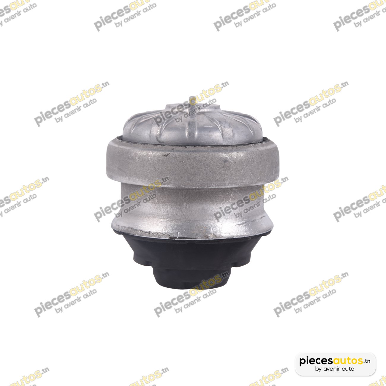 Support moteur Bapmic BACB11-205010