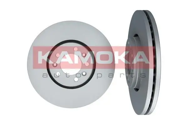 Jeu de 2 Disques de frein KAMOKA 1031053