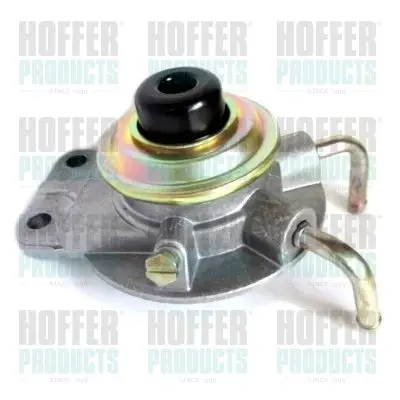 Système d'injection HOFFER 8029029