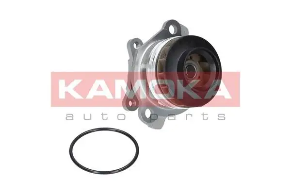Pompe à eau KAMOKA T0222