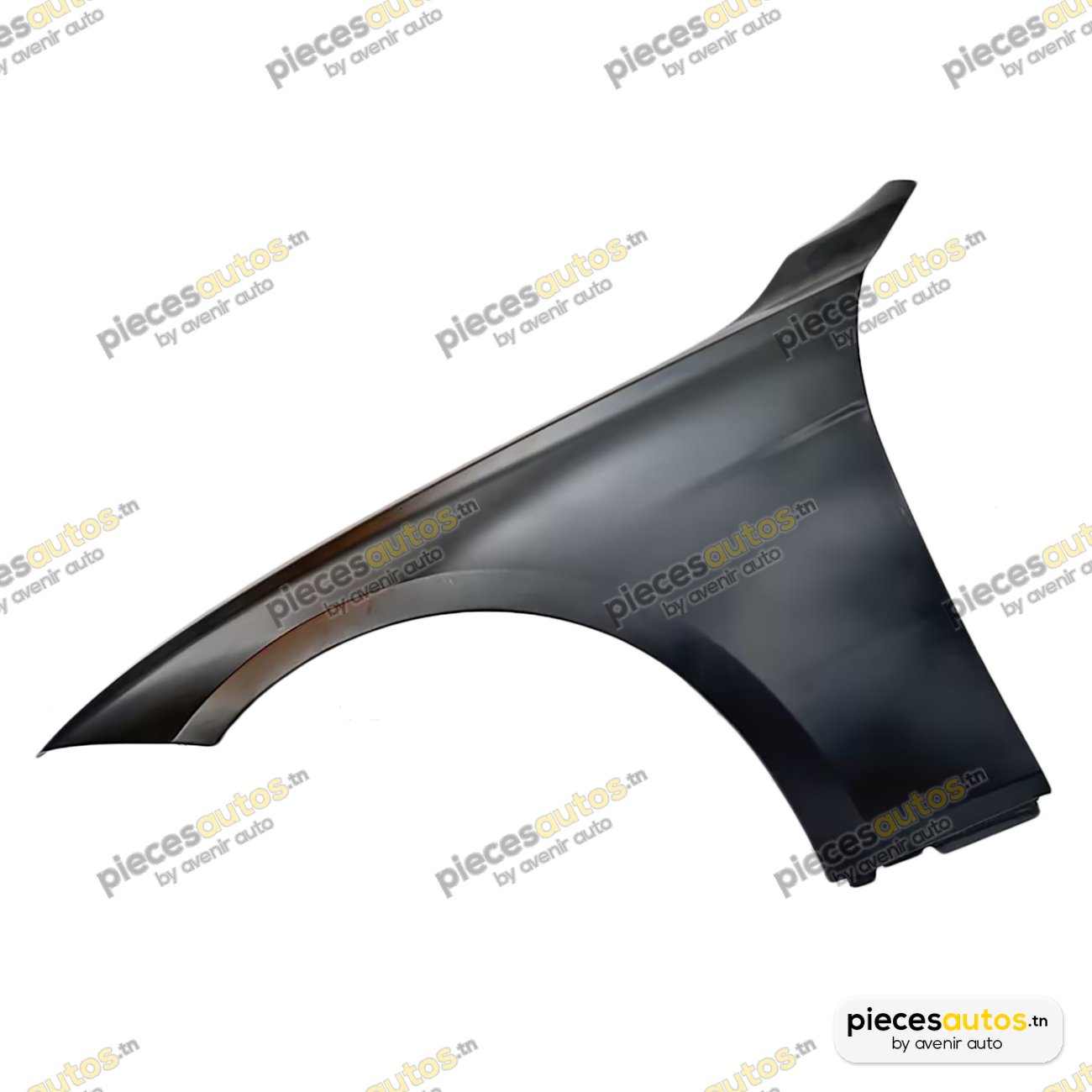 Aile Bapmic BF0110470117