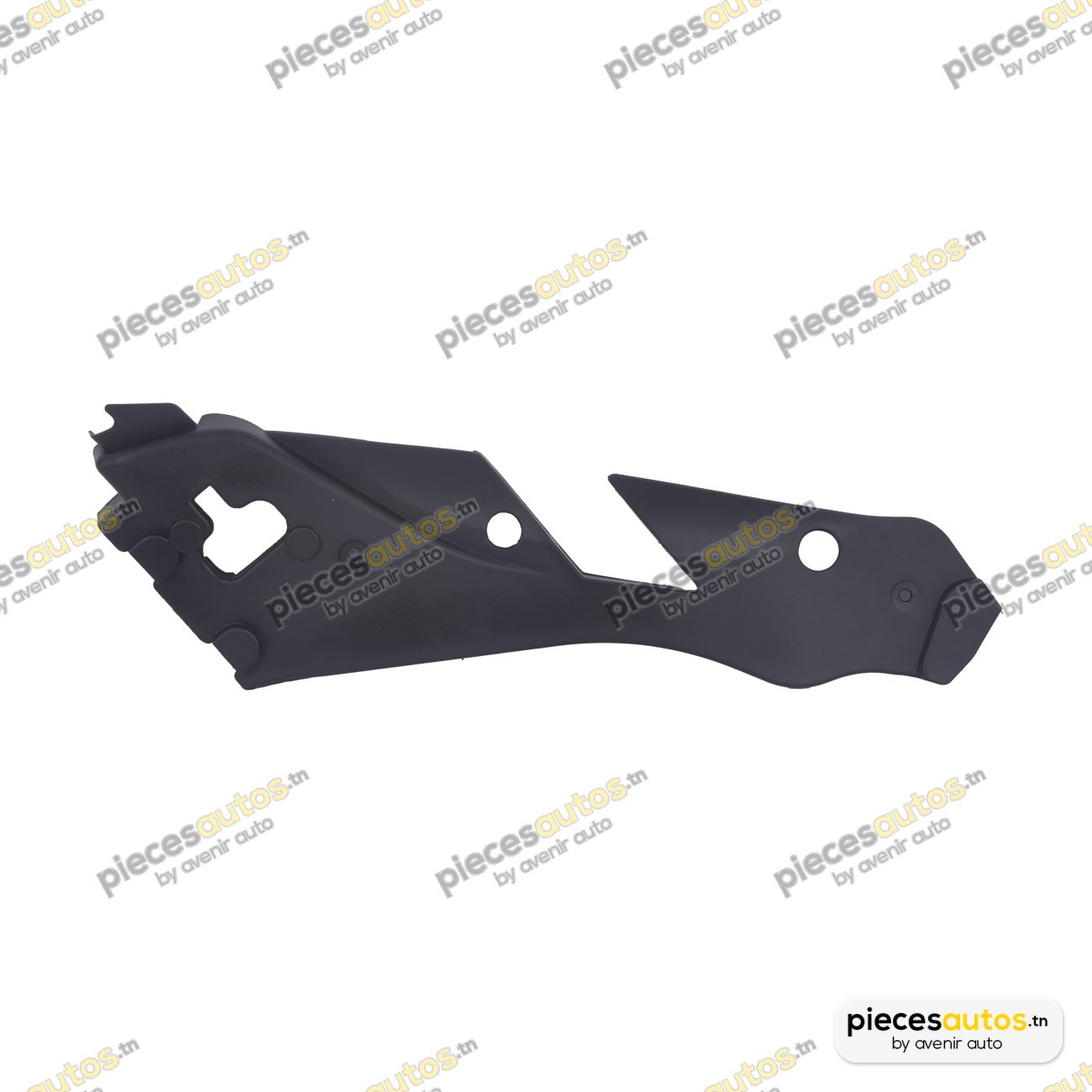 Cadre, projecteur principal Bapmic BF0216200077