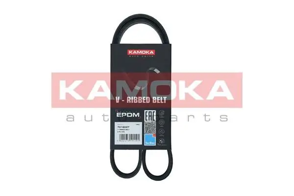 Courroie KAMOKA 7016027