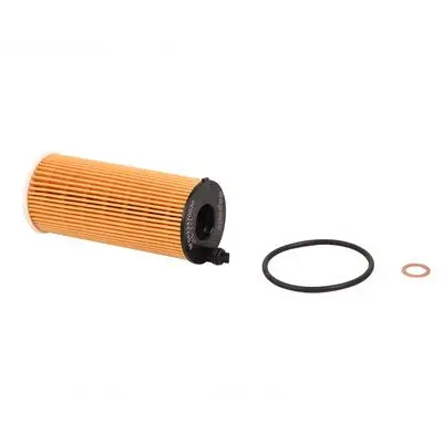 Filtre à huile Bapmic BF0423470030