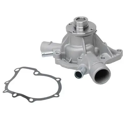 Pompe à eau Bapmic TOPT1105030