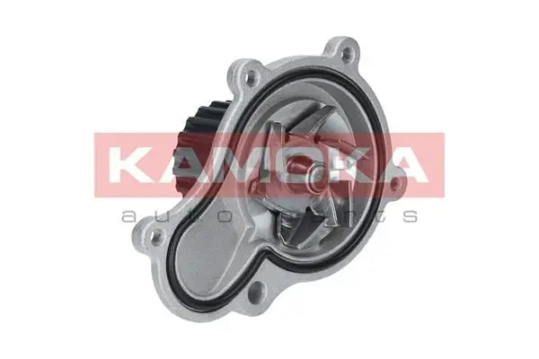 Pompe à eau KAMOKA T0076