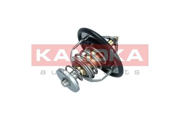 Thermostat d'eau KAMOKA 7710148
