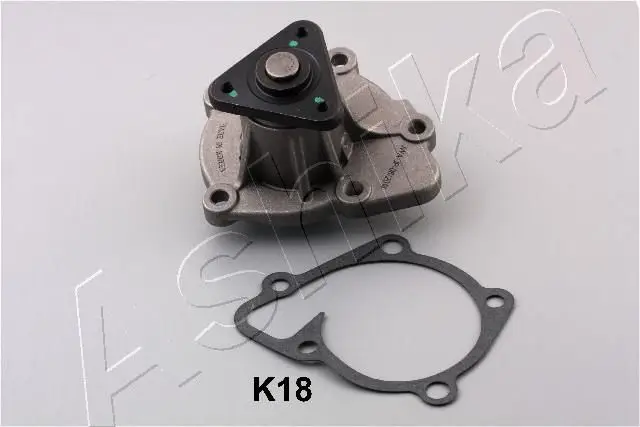 Pompe à eau ASHIKA 35-0K-K18