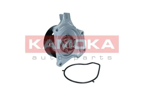 Pompe à eau KAMOKA T0307