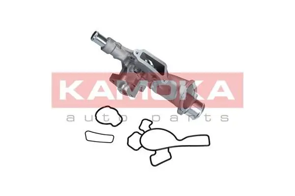 Pompe à eau KAMOKA T0225