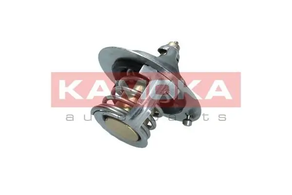 Thermostat d'eau KAMOKA 7710043