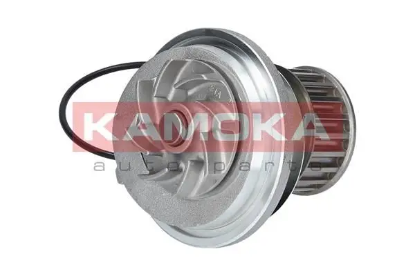 Pompe à eau KAMOKA T0228