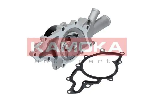Pompe à eau KAMOKA T0193