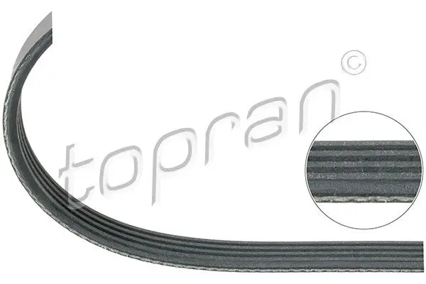 Courroie TOPRAN 500 683
