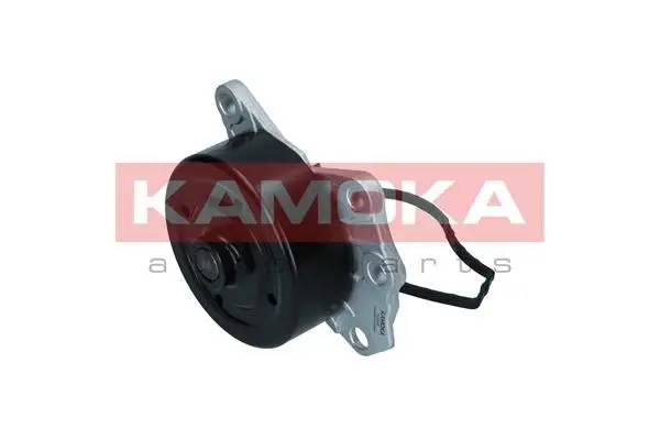 Pompe à eau KAMOKA T0088