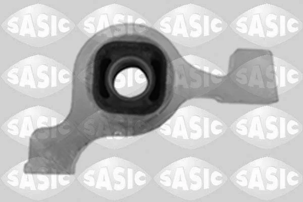 Bras et Triangle suspension SASIC 2250032