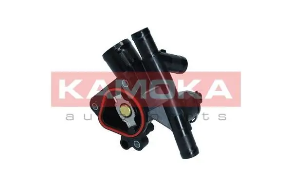 Thermostat d'eau KAMOKA 7710194