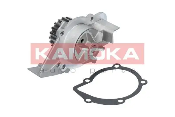 Pompe à eau KAMOKA T0099