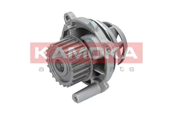 Pompe à eau KAMOKA T0028