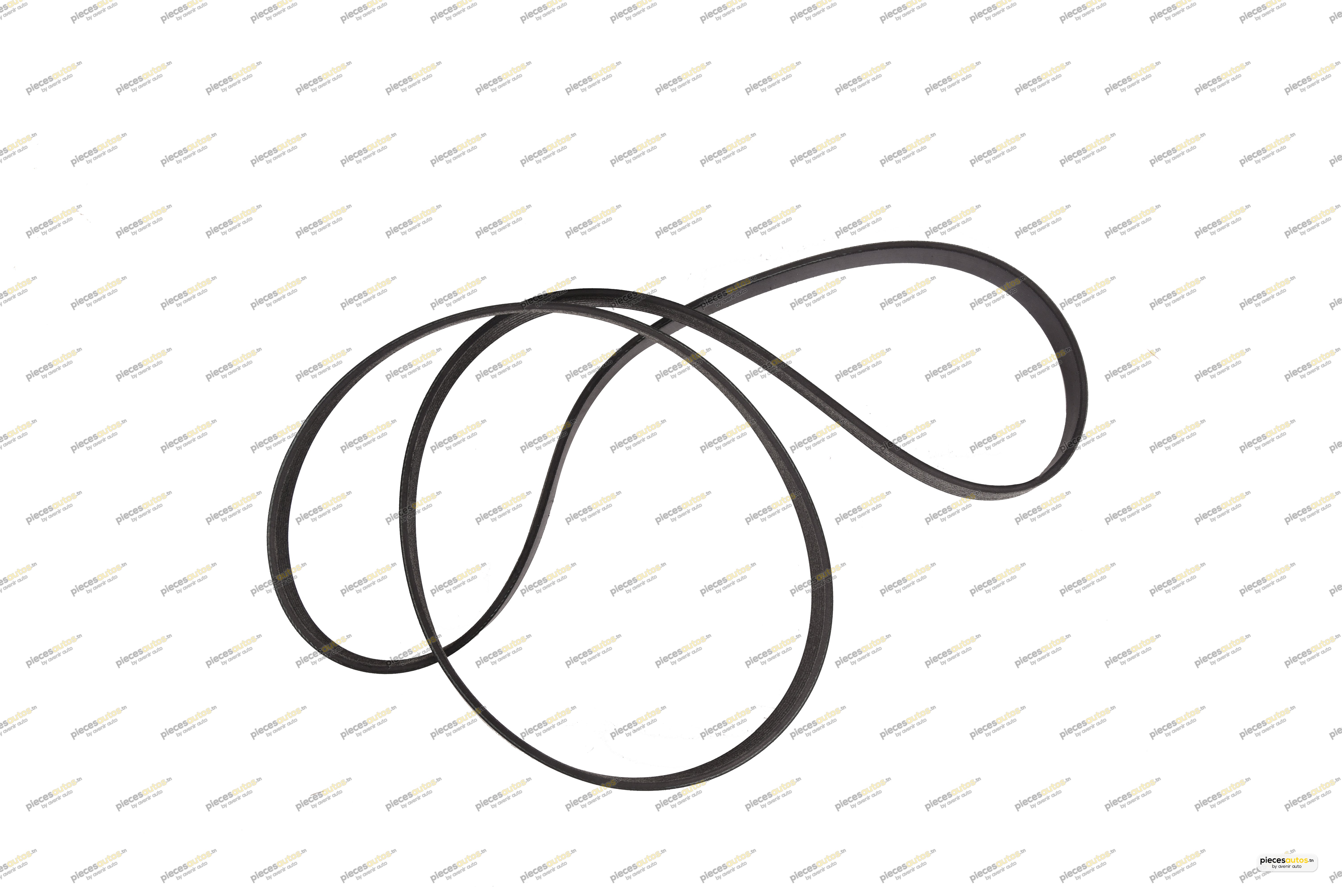 Courroie Bapmic BF0427580006