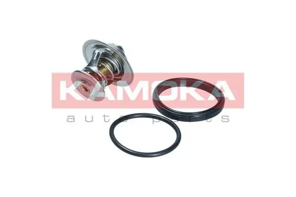 Thermostat d'eau KAMOKA 7710093