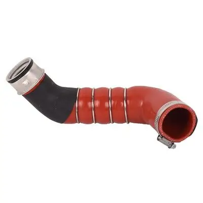 Durite turbo Bapmic BF0422700217