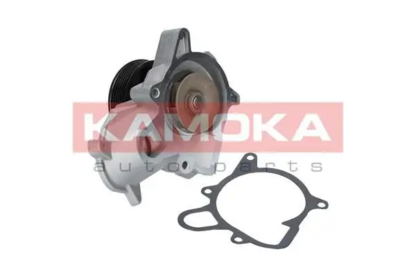 Pompe à eau KAMOKA T0053