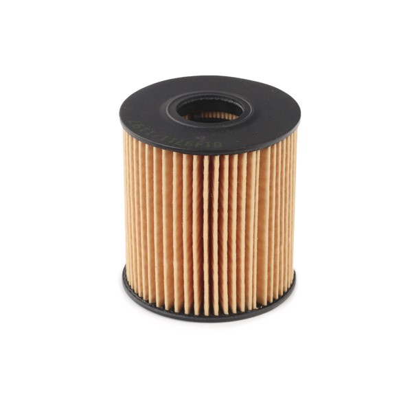 Filtre à huile Ridex 7O0017