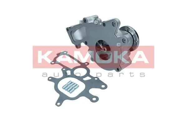 Pompe à eau KAMOKA T0267