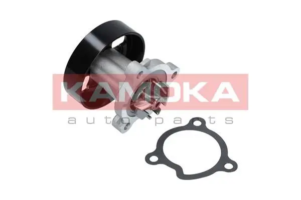 Pompe à eau KAMOKA T0221