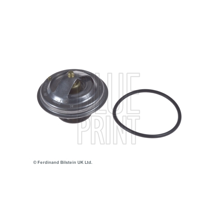 Thermostat d'eau BLUE PRINT ADJ139202